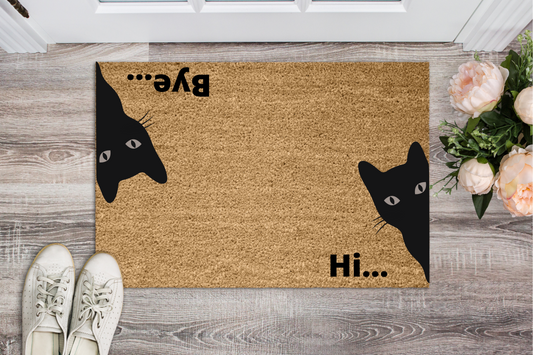 Hi…..Bye….Door Mat